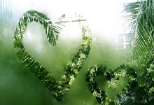 FB体育在线-印第安纳风暴：更衣室里的新呼吸——步行者队精神涅槃全纪实