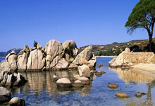 -NBA重磅对决：拜仁迎战姆巴佩，官方公布名单引爆体坛