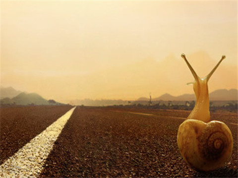 佛罗伦萨欲取胜利,克服困难 佛罗伦萨欲取胜利,克服困难