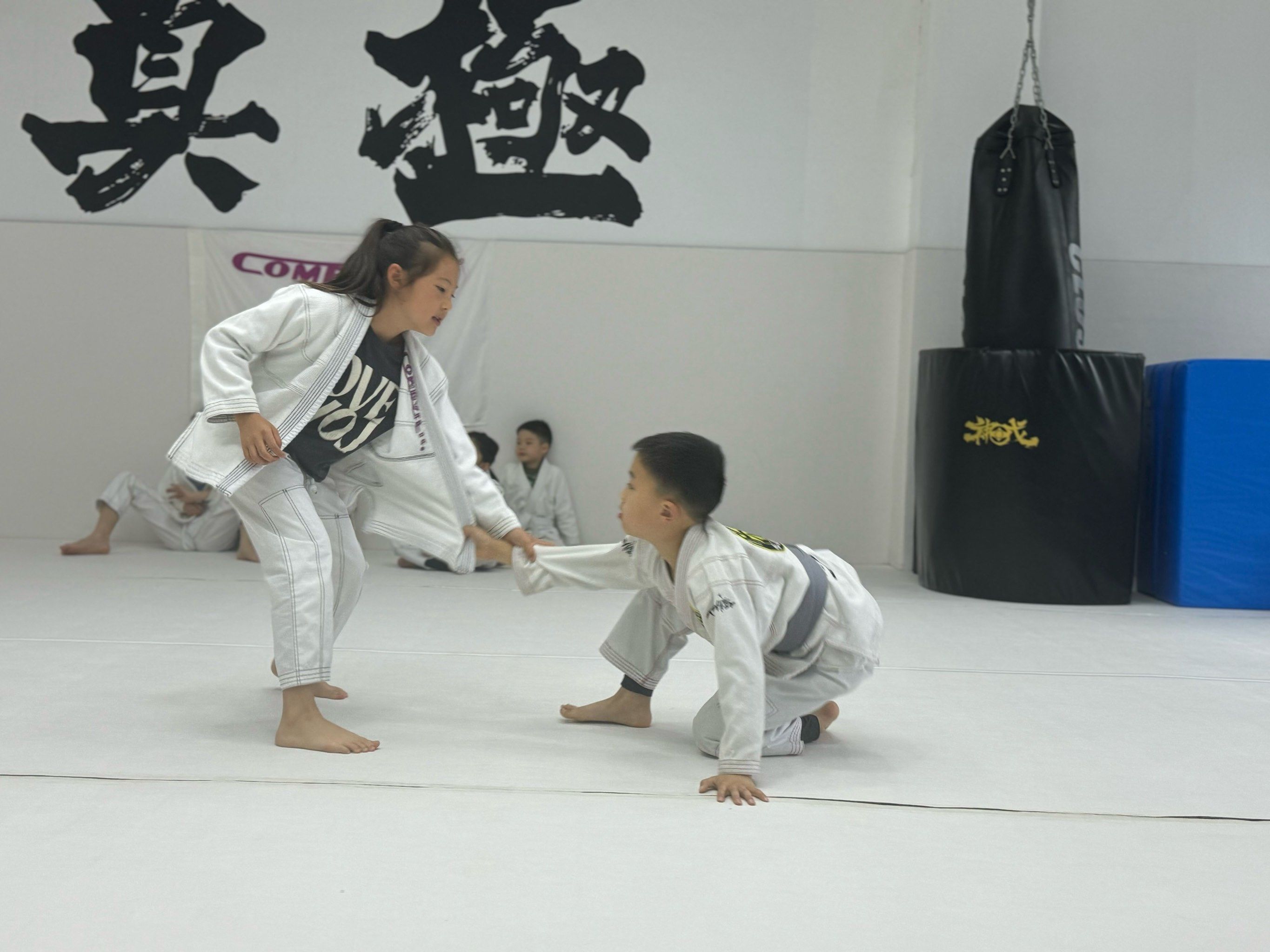 巴西选手勇夺巧妙搏击比赛头名的简单介绍 巴西选手勇夺巧妙搏击比赛头名的简单介绍