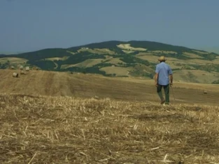 印度尼西亚代表队陡然崭露头角,引领潮流 印度尼西亚代表队陡然崭露头角,引领潮流